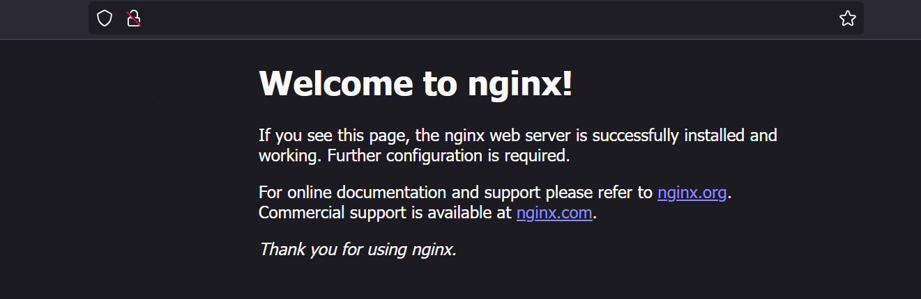 nginx